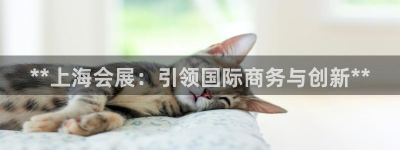 果博代理电话多少:**上海会展:引领国际