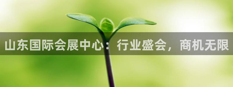 果博公司在线客服:山东国际会展中心:行业