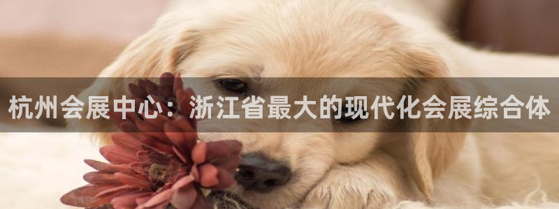 果博注册账号链接:杭州会展中心:浙江省最