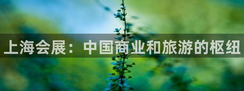 果博公司怎么开户:上海会展:中国商业和旅