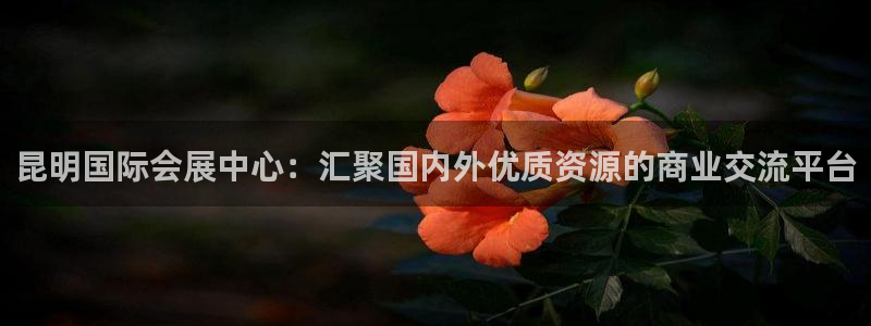 果博公司客服微信:昆明国际会展中心:汇聚