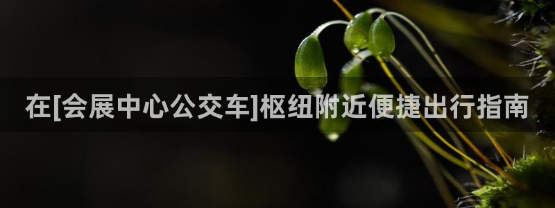 果博手机版下载