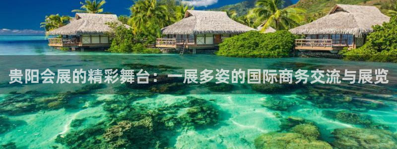 果博公司怎么注册会员